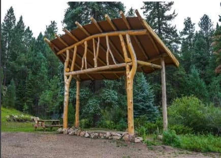 A log-framed open shelter among tall pine trees