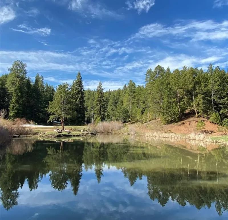 A still pond ringed by pine trees under a blue sky with thin clouds