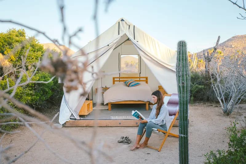 A canvas glamping tent with a bed, set among cactus