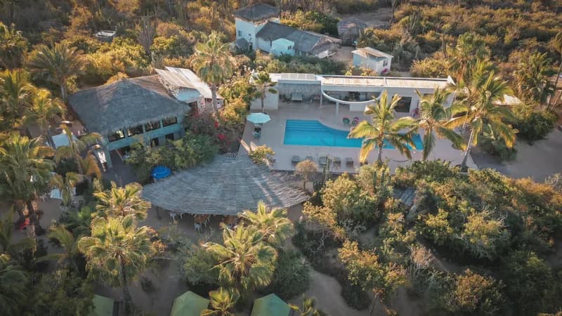 Aerial view of the grounds with a pool and palm trees